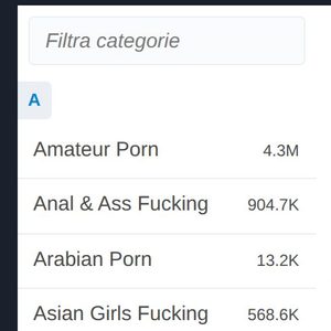Menu e filtro delle categorie di TNAFlix in italiano